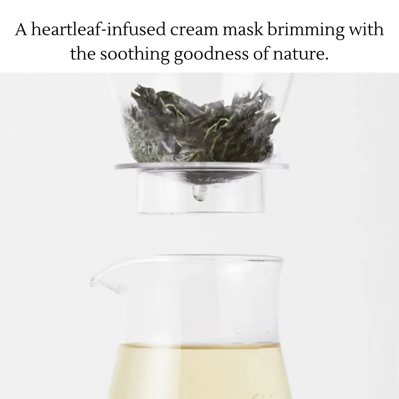 Anua Calming Cream Moisturizer